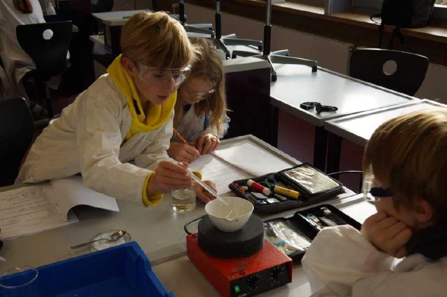 Marienschüler 2