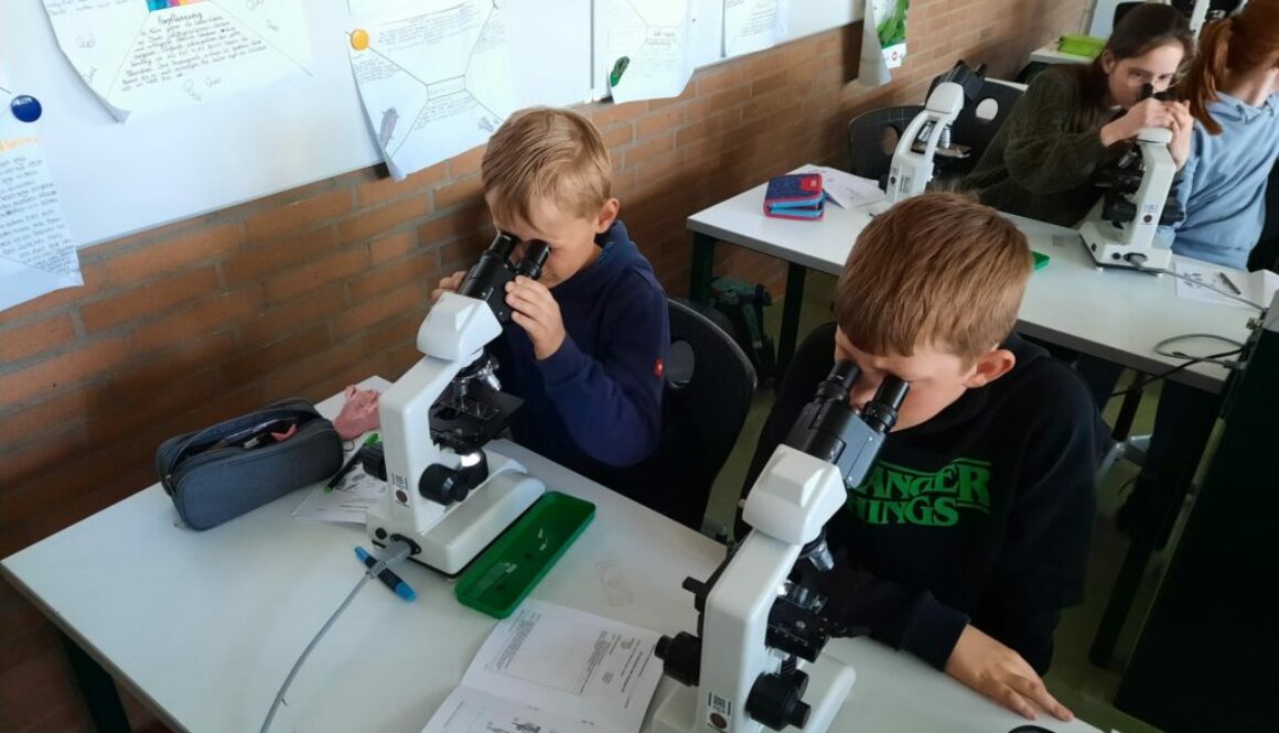 Mikroskopieren I