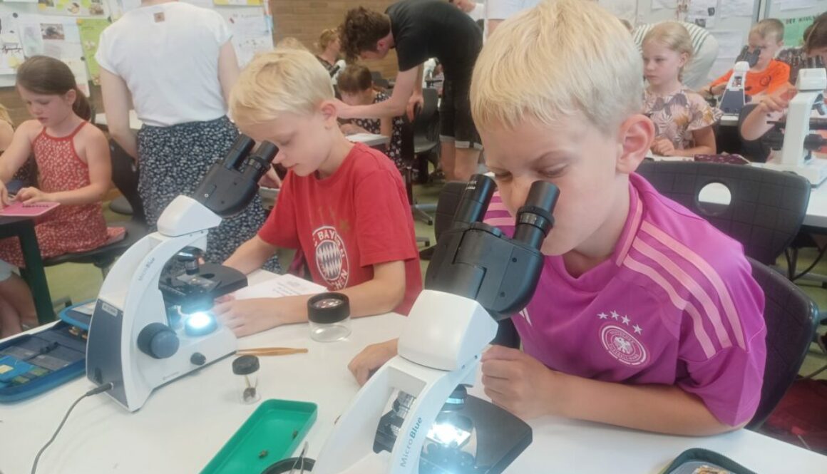 Zweitklässler beim Mikroskopieren
