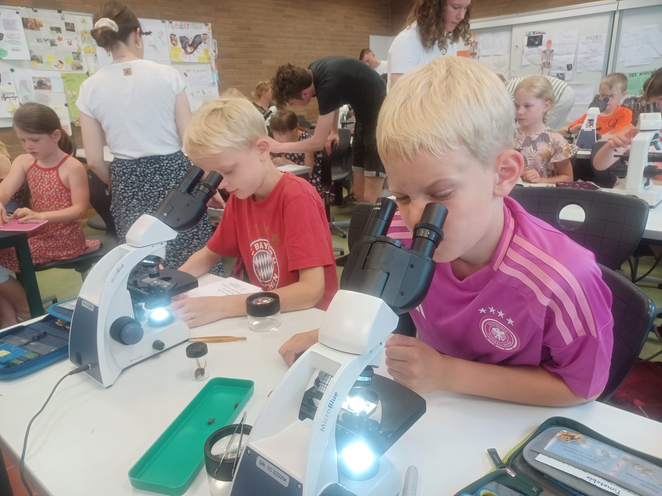 Zweitklässler beim Mikroskopieren Zweitklässler beim Mikroskopieren